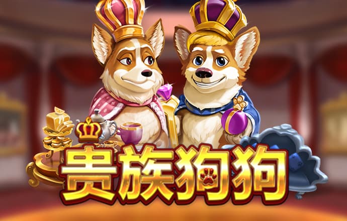 九球体育官网